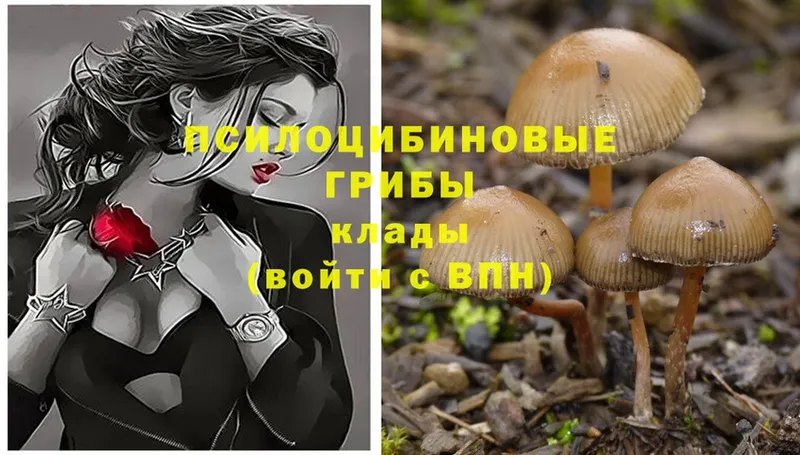 Псилоцибиновые грибы Magic Shrooms  Ейск 